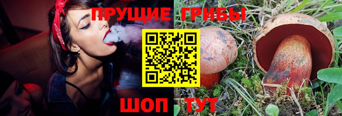 Галлюциногенные грибы GOLDEN TEACHER Арсеньев