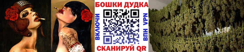где можно купить наркотик Арсеньев гидра Конопля Bruce Banner